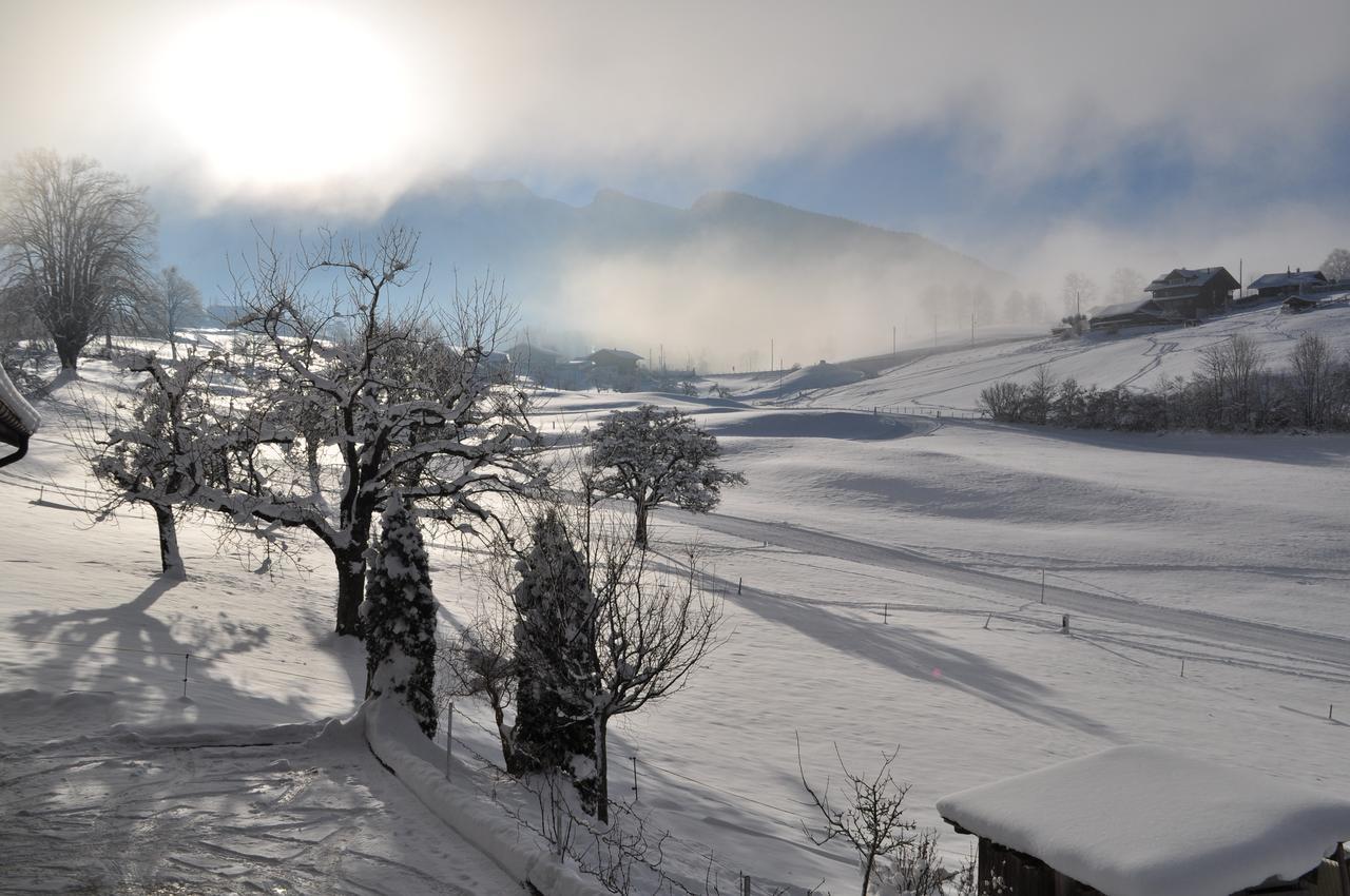 Brunnenmatte Ξενοδοχείο Aeschi Bei Spiez Εξωτερικό φωτογραφία