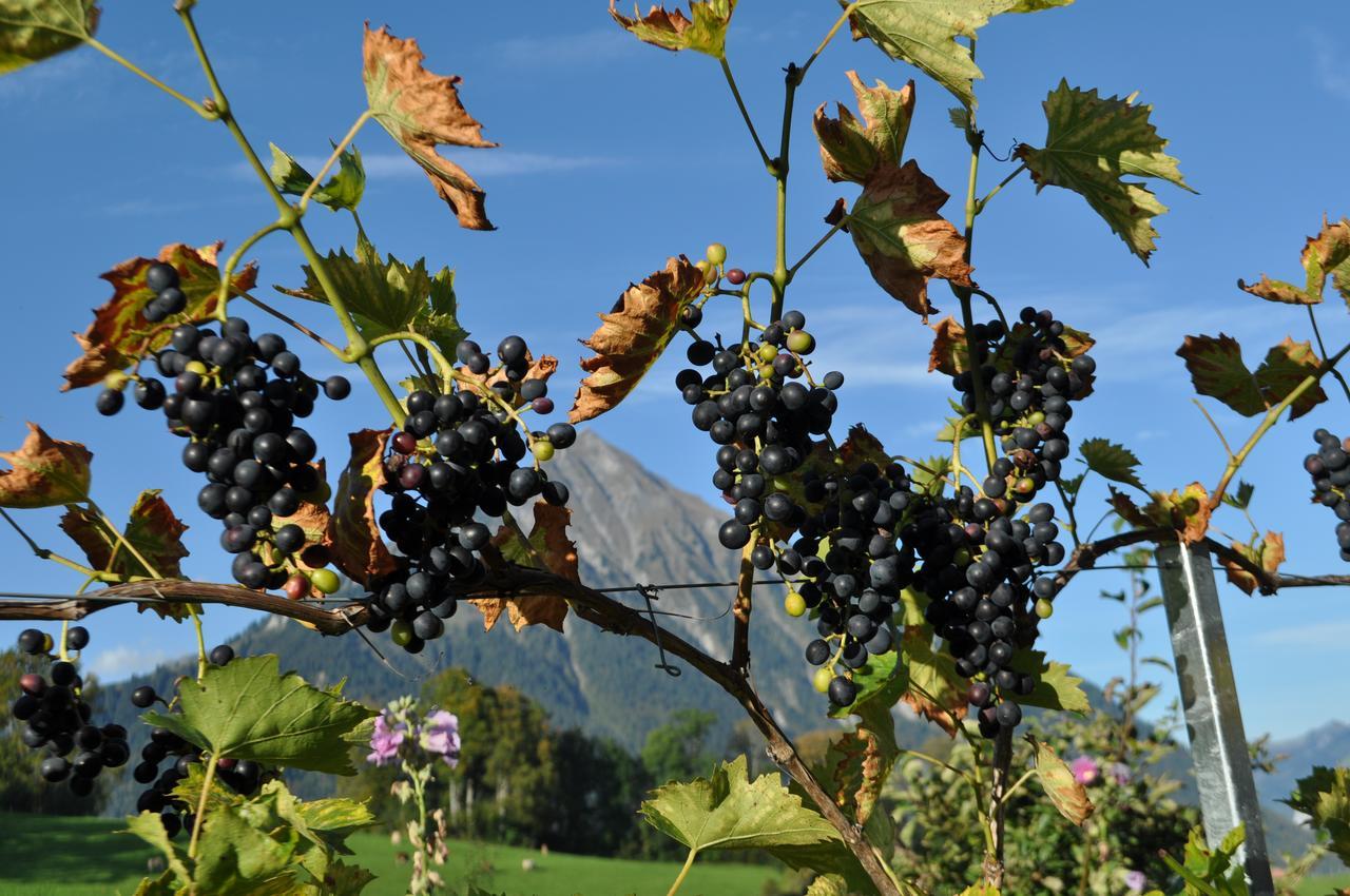 Brunnenmatte Ξενοδοχείο Aeschi Bei Spiez Εξωτερικό φωτογραφία